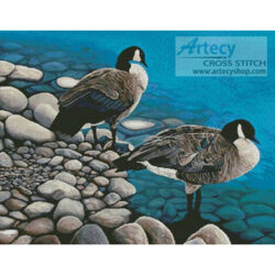 Two Canadian Geese (Mike Bennett)