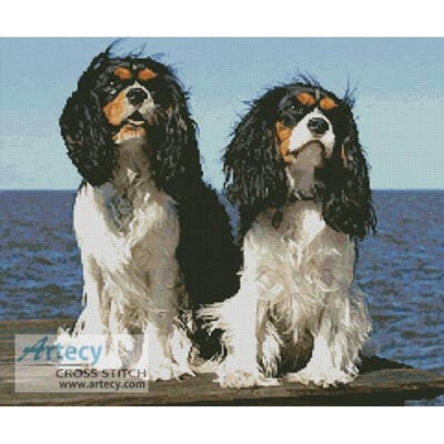 Two Cavalier King Charles (David Shankbone)