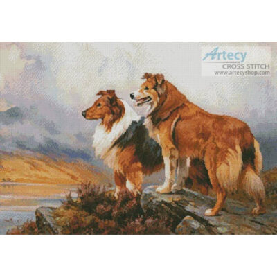 Two Collies Above a Lake (Wright Barker)