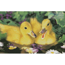 Two Ducklings (Greg Cuddiford)