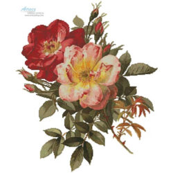 Two Roses (Paul de Longpre)