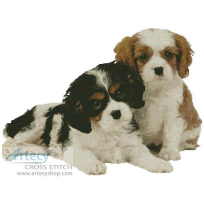 Two Spaniel Pups (Greg Cuddiford)