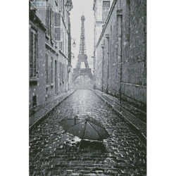 Umbrella in Paris (Black and White) (Cranach - Fotolia)