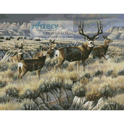 Up from the Coulee (Cynthie Fisher)