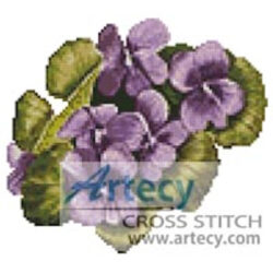 Violets