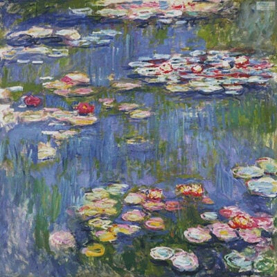 Water Lilies (Large) (Dominic Davison)