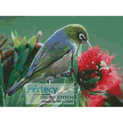 Wax Eye (Jenny Rollo)