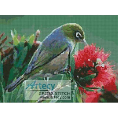 Wax Eye (Jenny Rollo)