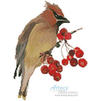 Waxwing (Claire Harkness)