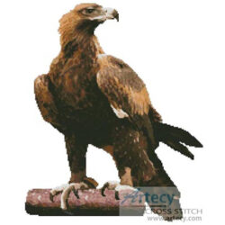Wedge Tail Eagle