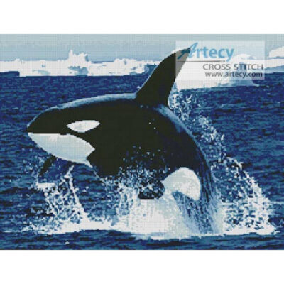 Whale 1