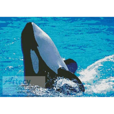 Whale 2 (www.photos.com)