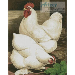 White Cochin Chickens