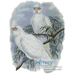 White Cockatoos