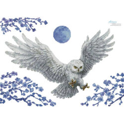 White Owl (No Background) (Kayomi Harai)