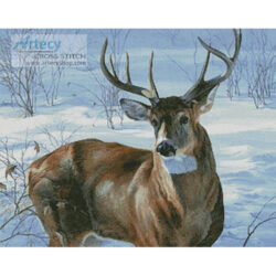 Whitetail Buck (Joni Johnson Godsy and Cypress Fine Art Licensing www)