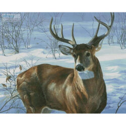 Whitetail Buck (Large) (Joni Johnson Godsy and Cypress Fine Art Licensing www)