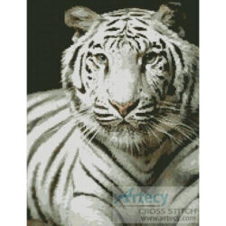 White Tiger