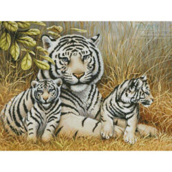 White Tiger and Cubs (Howard Robinson)