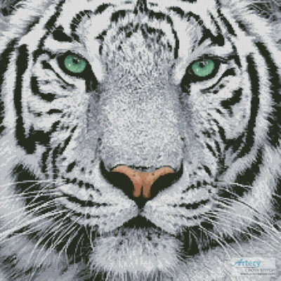 White Tiger Close Up (Oleg Kozlov - Fotolia)