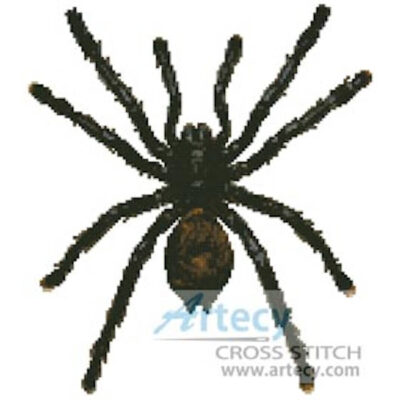 White Toe Tarantula (Pulse - Corbis)