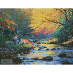 Wild America (Mark Keathley)