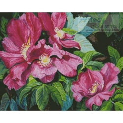 Wild Red Roses (Joanne Porter/ Art Licensing Int'l)