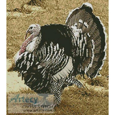 Wild Turkey (sideshowmom from www.morguefile.com)