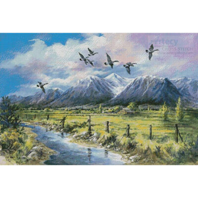 Wings over the Valley (Mimi Jobe)