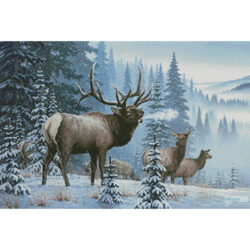 Winter Elk (Larry Zach)
