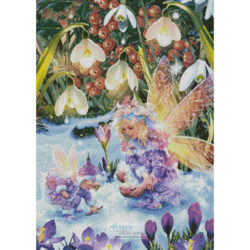 Winter Fairies (Steve Read)