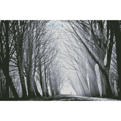Winter in Amsterdam (Lars Van de Goor)