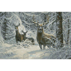 Winter Lace (Mark Keathley)