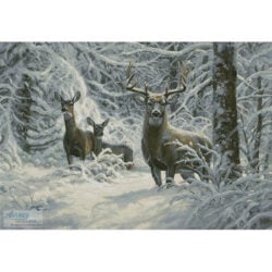 Winter Lace (Large) (Mark Keathley)