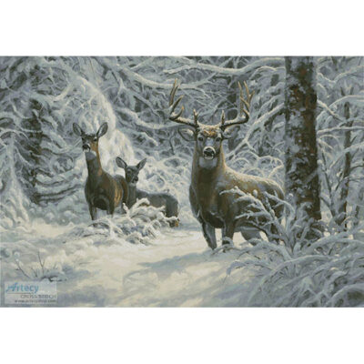 Winter Lace (Large) (Mark Keathley)