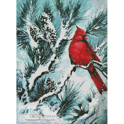 Winter's Glory Red Bird (Jamie Carter)
