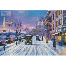 Wintertime in Paris (Dominic Davison)