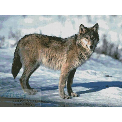 Wolf 4 (www.liquidlibrary.com)
