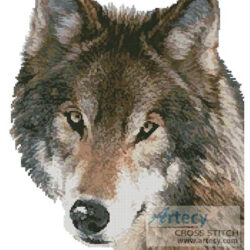 Wolf Face (www.photos.com)