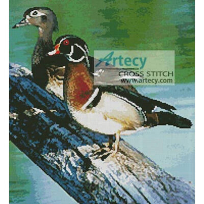 Wood Ducks (Dave Menke from the US Fish and Wildlife Service)