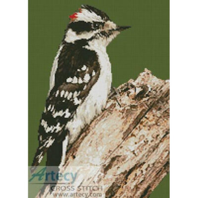 Woodpecker (Wolfgang Wander - Wikipedia)