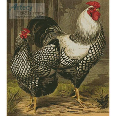 Wyandotte Chickens