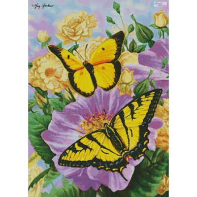 Yellow Butterflies (Greg Giordano)