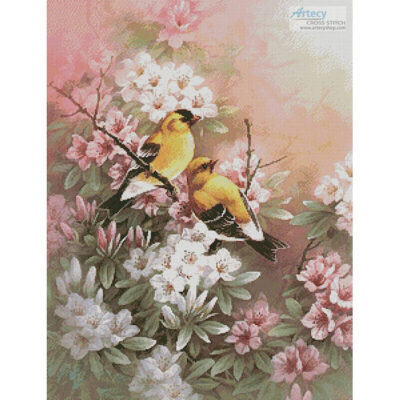 Yellow Finches (T. C. Chiu)