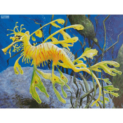 Yellow Leafy Sea Dragon (Mary Palmer)