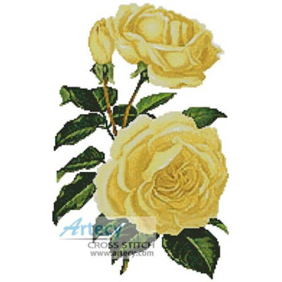 Yellow Roses
