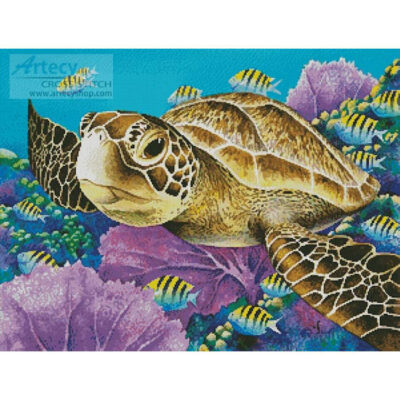 Young Green Sea Turtle (Carolyn Steele)