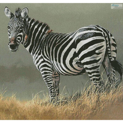 Zebra Painting (Fuz Caforio)