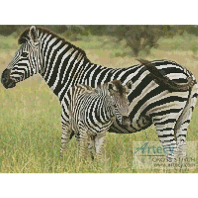 Zebras (www.photostogo.com)