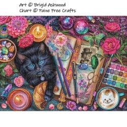 Crafty Cat